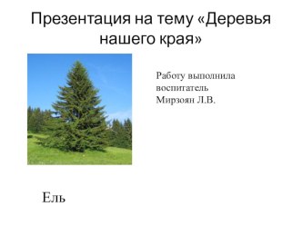 Презентация Деревья нашего края презентация к уроку по окружающему миру (младшая группа)