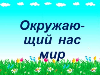 урок по окружающему миру Насекомые план-конспект урока по окружающему миру (1 класс)