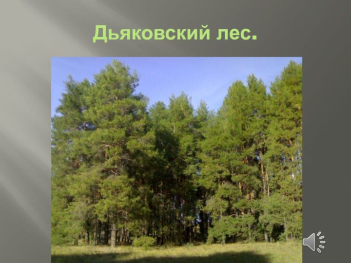 Дьяковский лес.