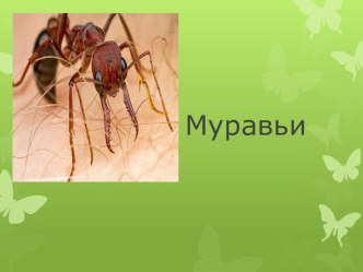 тексты для списывания презентация к уроку по русскому языку (2 класс)