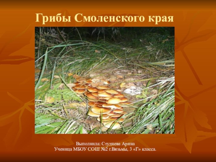 Грибы Смоленского края Выполнила: Студнева АринаУченица МБОУ СОШ №2 г.Вязьмы, 3 «Г» класса.