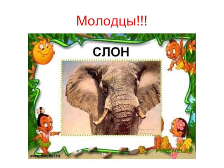 Молодцы!!!