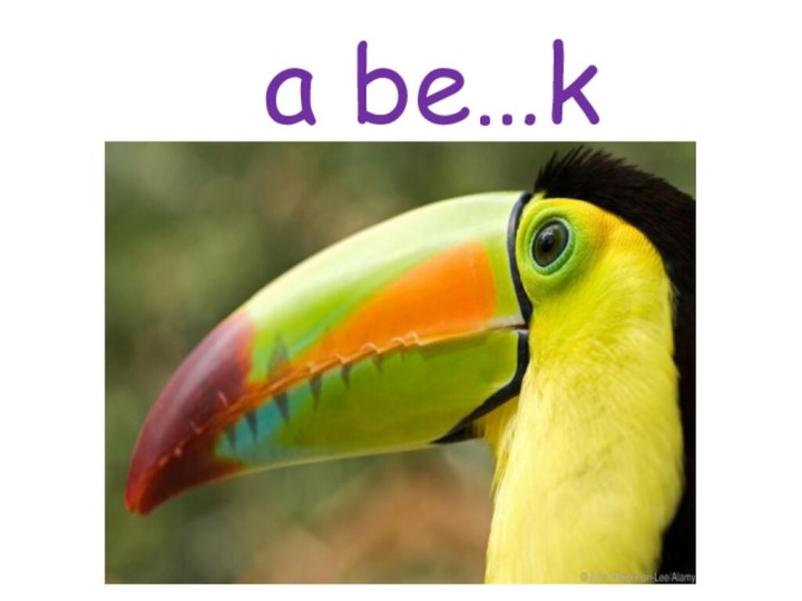 a be…k