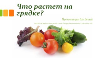 Презентация к непосредственной образовательной деятельности по теме Что растет на грядке? методическая разработка по окружающему миру (младшая группа) по теме