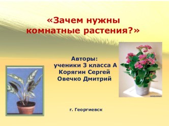 Зачем нужны комнатные растения презентация к уроку по окружающему миру