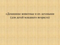 Конспект ООД Домашние животные и их детеныши + презентация презентация урока для интерактивной доски по окружающему миру (младшая группа)