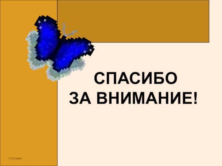 СПАСИБО  ЗА ВНИМАНИЕ!С.Н.Гурина