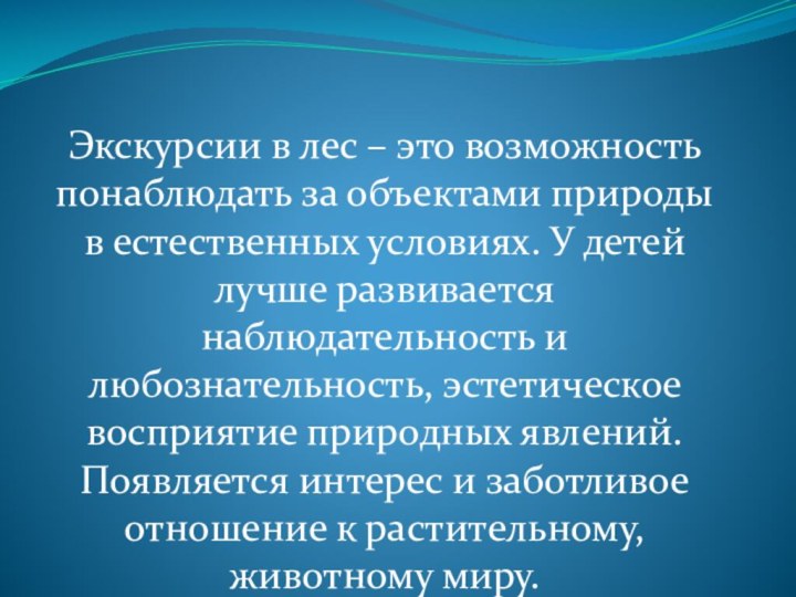 Экскурсии в лес – это возможность понаблюдать за объектами природы в естественных