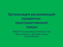 Развивающая предметно – пространственная среда презентация