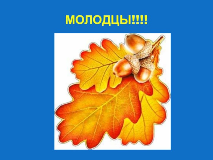 МОЛОДЦЫ!!!!