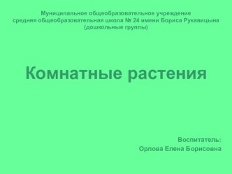 Презентация Комнатные растения презентация к уроку по окружающему миру (старшая, подготовительная группа)