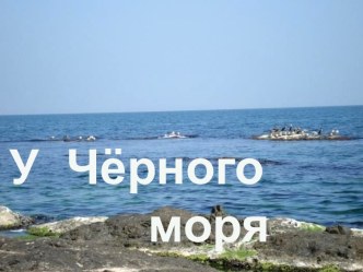 Презентация У Черного моря презентация к уроку по окружающему миру (4 класс)