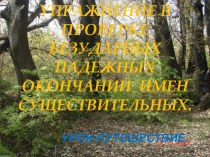 Конспект урока русского языка в 4 классе Упражнения в проверке падежных окончаний план-конспект урока по русскому языку ( класс)