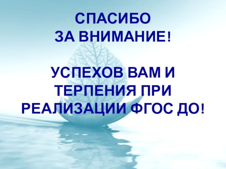 СПАСИБО  ЗА ВНИМАНИЕ!  УСПЕХОВ ВАМ И ТЕРПЕНИЯ ПРИ РЕАЛИЗАЦИИ ФГОС ДО!