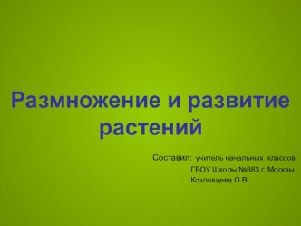 Презентация к уроку окружающего мира по теме Размножения и развитие растений 3 класс презентация к уроку по окружающему миру (3 класс)