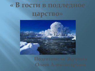 В гости в подледное царство план-конспект занятия по развитию речи (подготовительная группа)