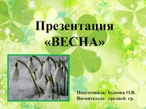 Весна презентация к уроку по окружающему миру (средняя группа) по теме