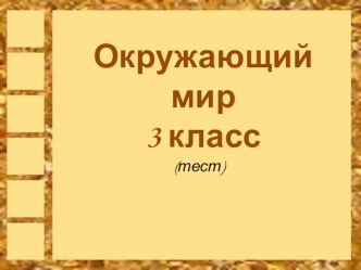 Тест по окружающему миру тест по окружающему миру