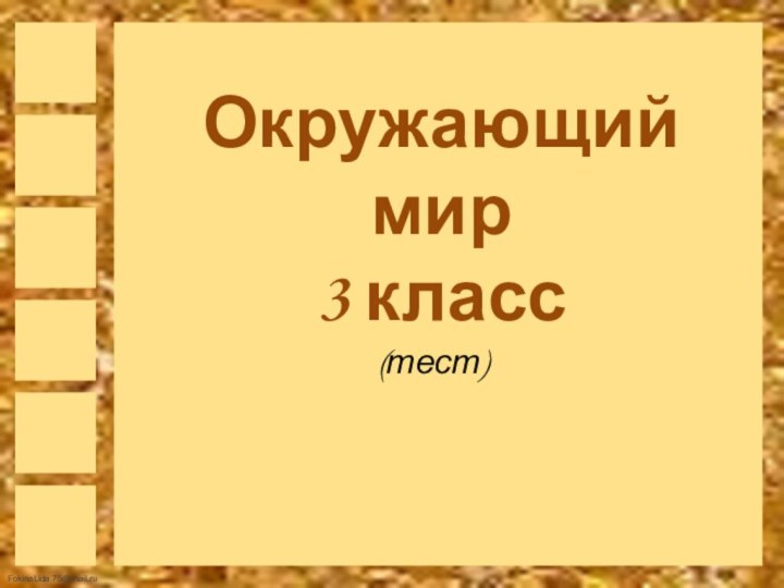 Окружающий мир  3 класс (тест)