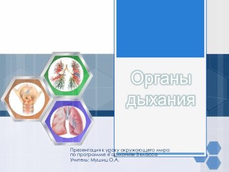 Презентация к уроку по окружающему миру 3 класс. презентация к уроку по окружающему миру (3 класс)