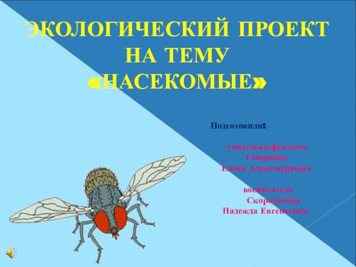 ЭКОЛОГИЧЕСКИЙ ПРОЕКТ НА ТЕМУ«НАСЕКОМЫЕ»