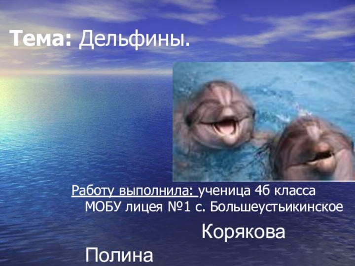 Тема: Дельфины.Работу выполнила: ученица 4б класса МОБУ лицея №1 с. Большеустьикинское