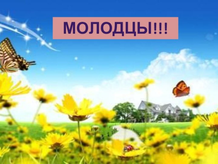 Молодцы!!!