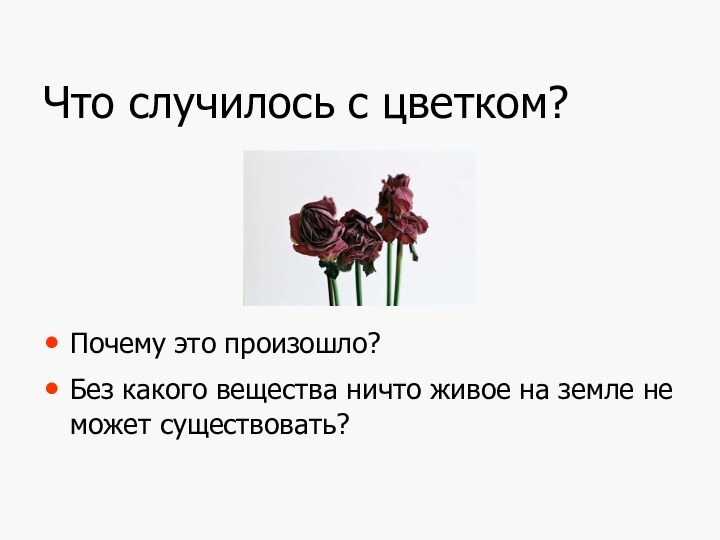 Что случилось с цветком?Почему это произошло?Без какого вещества ничто живое на земле не может существовать?