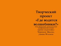 Презентация Где водятся волшебники? проект по конструированию, ручному труду (подготовительная группа) по теме