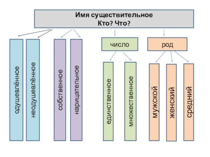 Имя существительноеКто? Что?одушевлённоенеодушевлённоесобственноенарицательноечислоединственноемножественноеродмужскойженскийсредний