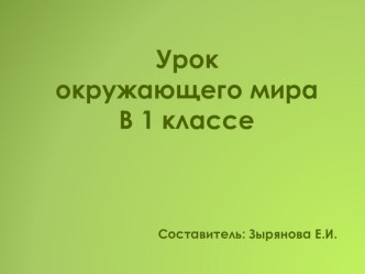 Презентация и план к уроку окружающего мира Кто такие звери план-конспект урока по окружающему миру (1 класс)