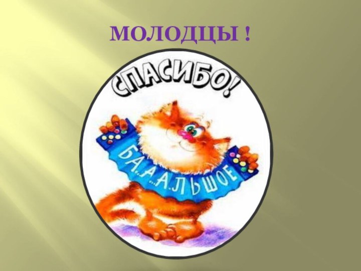 МОЛОДЦЫ !