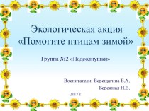 Презентация Поможем птицам зимой презентация к уроку по окружающему миру (младшая группа)