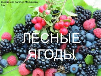 Презентация по теме Лесные ягоды презентация к уроку по логопедии (средняя группа)