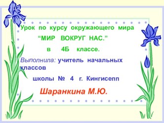 Глобус презентация к уроку по окружающему миру (2 класс)