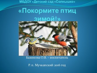 Покормите птиц зимой! проект по окружающему миру (средняя группа)