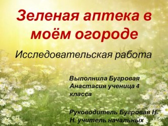 Исследовательская работа : Зеленая аптека в моем огороде творческая работа учащихся по окружающему миру (3 класс)