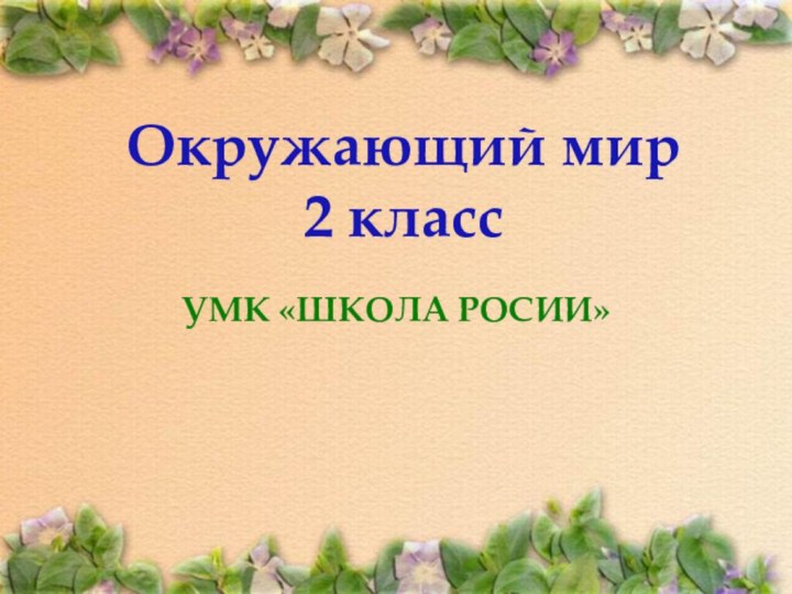 УМК «ШКОЛА РОСИИ»Окружающий мир2 класс