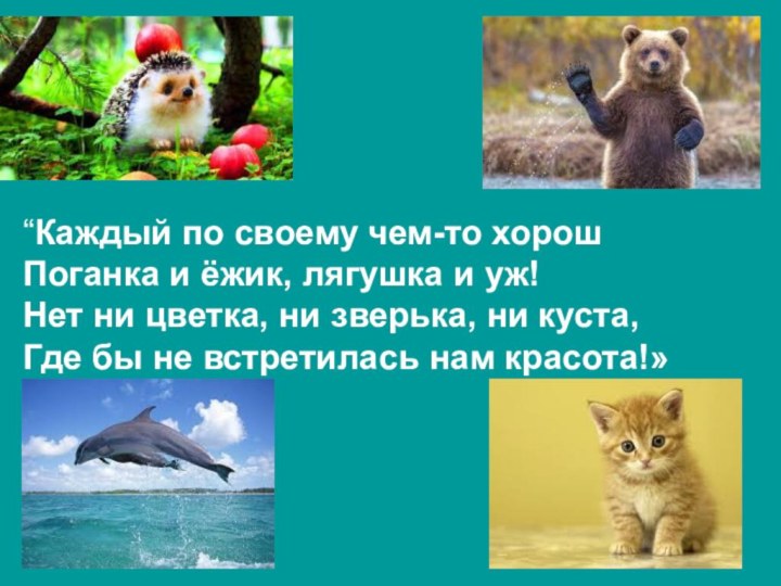 “Каждый по своему чем-то хорошПоганка и ёжик, лягушка и уж!Нет ни цветка,