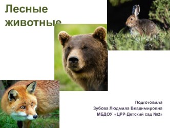 Презентация для младшей группы Лесные животные презентация