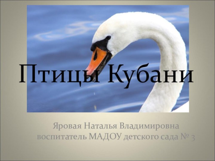 Птицы КубаниЯровая Наталья Владимировна воспитатель МАДОУ детского сада № 3