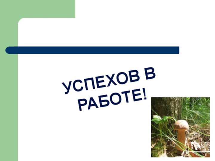 УСПЕХОВ В РАБОТЕ!