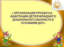 Организация процесса адаптации детей младшего дошкольного возраста