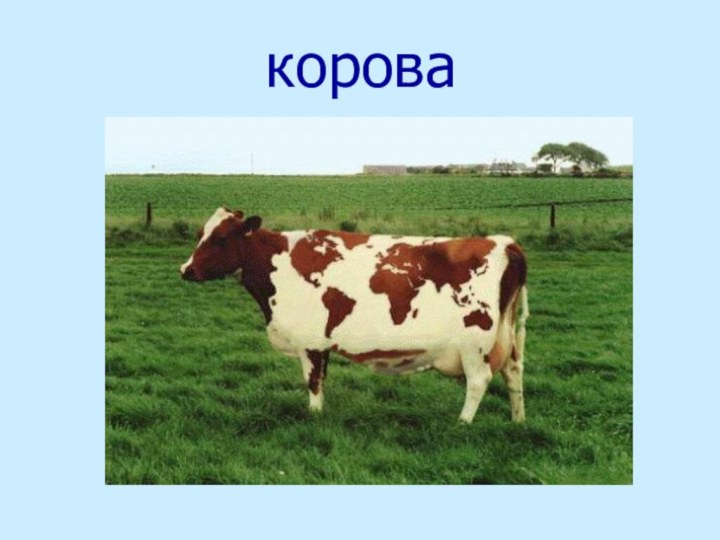 корова