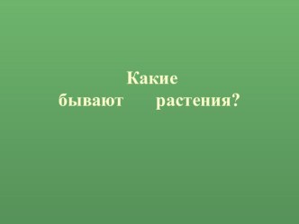 Презентация по окружающему миру 2 класс Какие бывают растения презентация к уроку по окружающему миру (2 класс)