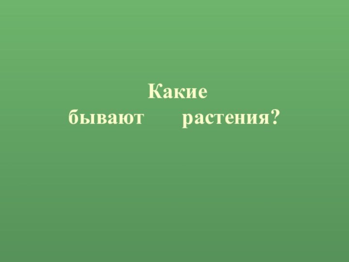 Какие  бывают    растения?