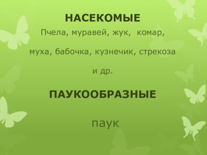 НАСЕКОМЫЕПчела, муравей, жук, комар, муха, бабочка, кузнечик, стрекоза и др.паукПАУКООБРАЗНЫЕ