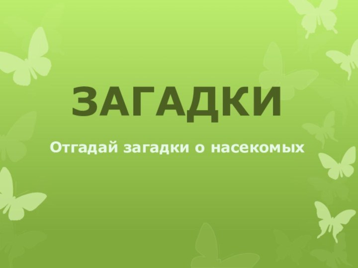 ЗАГАДКИОтгадай загадки о насекомых