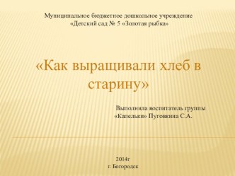 ООД Хлеб всему голова план-конспект занятия по развитию речи (старшая группа)