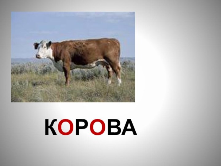 КОРОВА